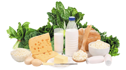 Consultation with Doctors, Emergency Medical Service Provoiders Bhubaneswar